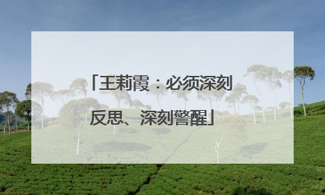 王莉霞：必须深刻反思、深刻警醒