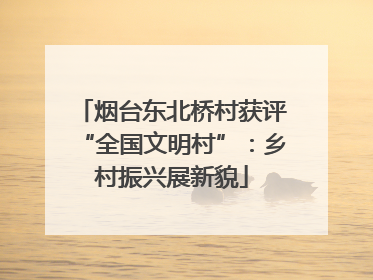 烟台东北桥村获评“全国文明村”：乡村振兴展新貌