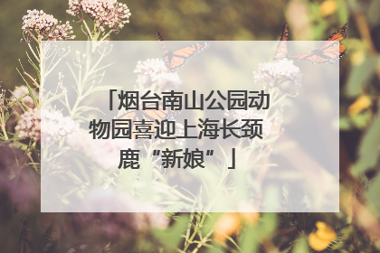 烟台南山公园动物园喜迎上海长颈鹿“新娘”