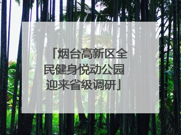 烟台高新区全民健身悦动公园迎来省级调研