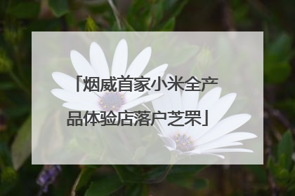 烟威首家小米全产品体验店落户芝罘