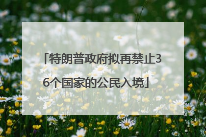 特朗普政府拟再禁止36个国家的公民入境
