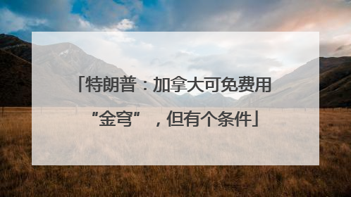 特朗普：加拿大可免费用“金穹”，但有个条件