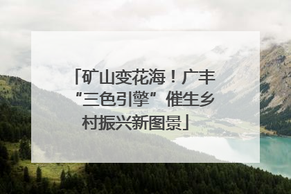 矿山变花海！广丰“三色引擎”催生乡村振兴新图景