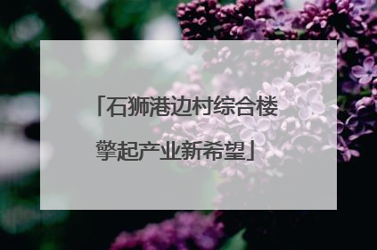 石狮港边村综合楼擎起产业新希望