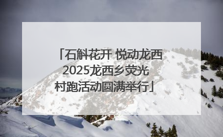 石斛花开 悦动龙西 2025龙西乡荧光村跑活动圆满举行