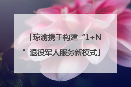 琼渝携手构建“1+N”退役军人服务新模式