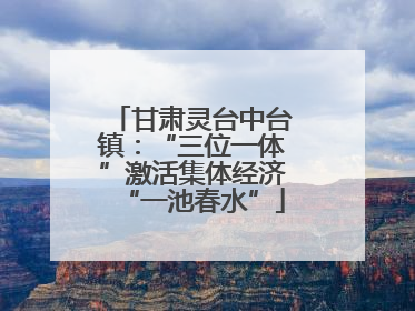 甘肃灵台中台镇：“三位一体”激活集体经济“一池春水”