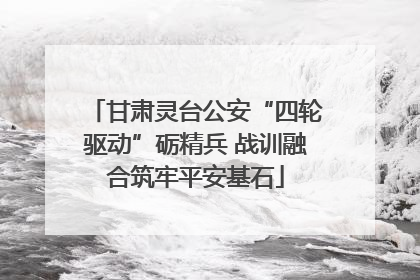 甘肃灵台公安“四轮驱动”砺精兵 战训融合筑牢平安基石