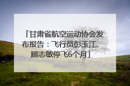 甘肃省航空运动协会发布报告：飞行员彭玉江、顾志敏停飞6个月