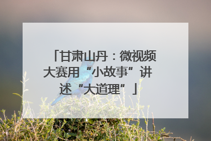 甘肃山丹：微视频大赛用“小故事”讲述“大道理”
