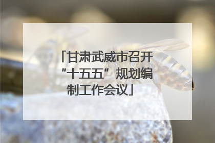 甘肃武威市召开“十五五”规划编制工作会议