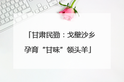 甘肃民勤：戈壁沙乡孕育“甘味”领头羊