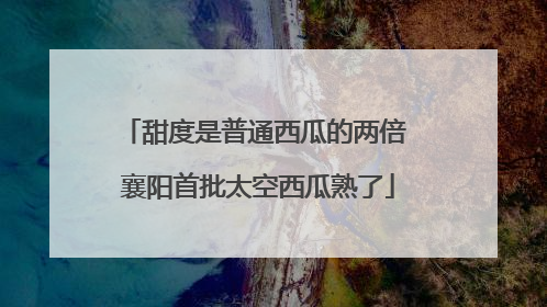 甜度是普通西瓜的两倍 襄阳首批太空西瓜熟了