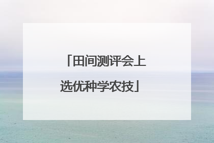 田间测评会上选优种学农技