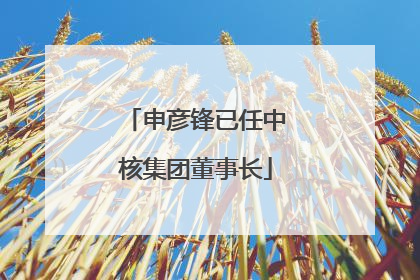 申彦锋已任中核集团董事长