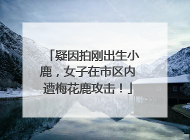 疑因拍刚出生小鹿，女子在市区内遭梅花鹿攻击！