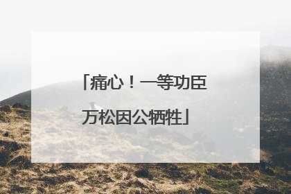 痛心！一等功臣万松因公牺牲