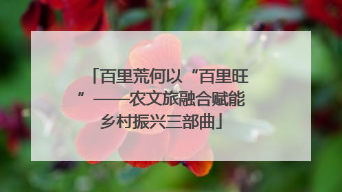 百里荒何以“百里旺”——农文旅融合赋能乡村振兴三部曲