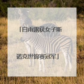 白雨露获女子斯诺克世锦赛冠军