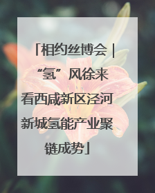 相约丝博会｜“氢”风徐来 看西咸新区泾河新城氢能产业聚链成势