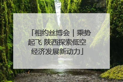 相约丝博会｜乘势起飞 陕西探索低空经济发展新动力
