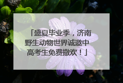 盛夏毕业季，济南野生动物世界诚邀中高考生免费撒欢！
