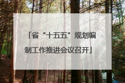 省“十五五”规划编制工作推进会议召开