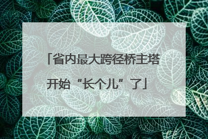 省内最大跨径桥主塔开始“长个儿”了