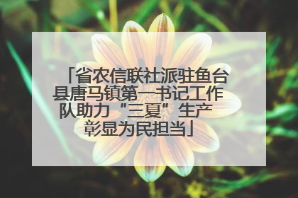省农信联社派驻鱼台县唐马镇第一书记工作队助力“三夏”生产 彰显为民担当