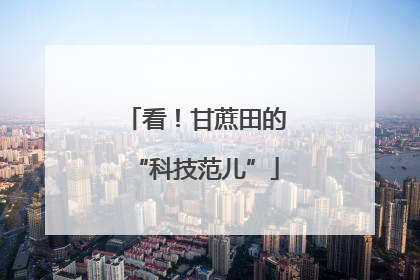 看！甘蔗田的“科技范儿”