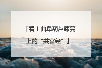 看！曲阜葫芦藤蔓上的“共富经”