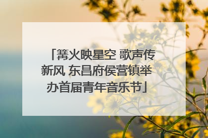 篝火映星空 歌声传新风 东昌府侯营镇举办首届青年音乐节