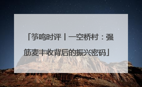 筝鸣时评丨一空桥村：强筋麦丰收背后的振兴密码