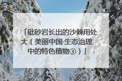 砒砂岩长出的沙棘用处大（美丽中国·生态治理中的特色植物③）