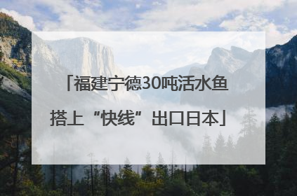 福建宁德30吨活水鱼搭上“快线”出口日本