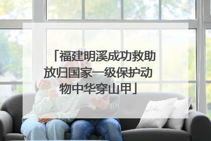 福建明溪成功救助放归国家一级保护动物中华穿山甲