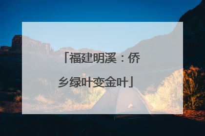 福建明溪：侨乡绿叶变金叶