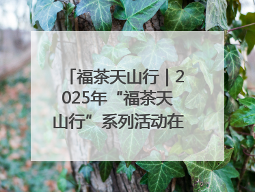 福茶天山行｜2025年“福茶天山行”系列活动在昌吉州启动