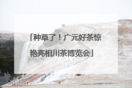 种草了！广元好茶惊艳亮相川茶博览会