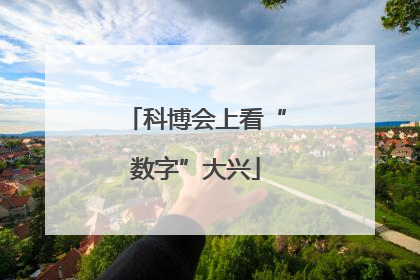 科博会上看“数字”大兴