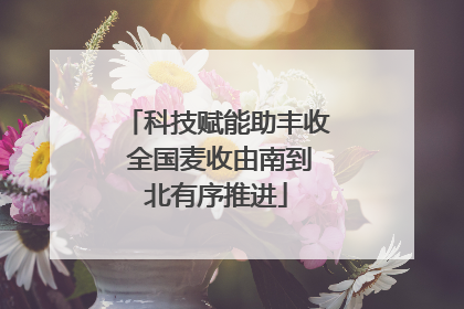 科技赋能助丰收 全国麦收由南到北有序推进