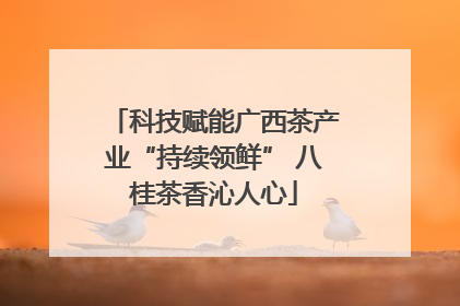 科技赋能广西茶产业“持续领鲜” 八桂茶香沁人心
