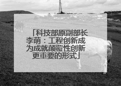 科技部原副部长李萌：工程创新成为成就颠覆性创新更重要的形式