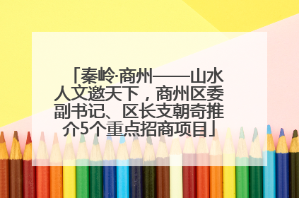 秦岭·商州——山水人文邀天下，商州区委副书记、区长支朝奇推介5个重点招商项目