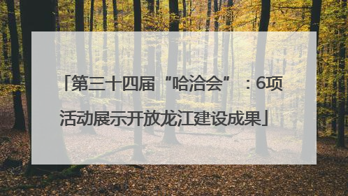 第三十四届“哈洽会”：6项活动展示开放龙江建设成果