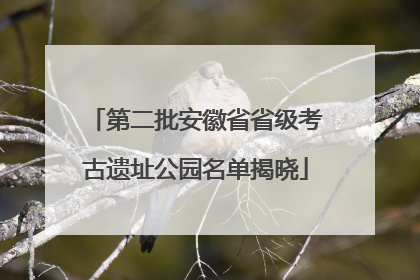 第二批安徽省省级考古遗址公园名单揭晓