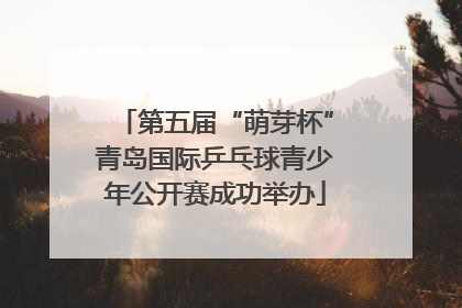 第五届“萌芽杯”青岛国际乒乓球青少年公开赛成功举办