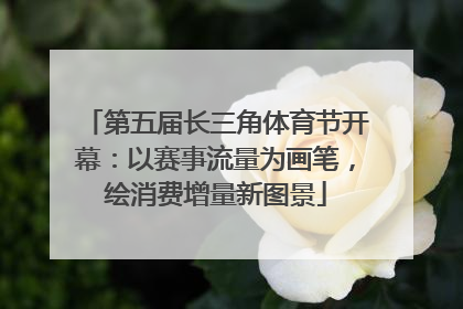 第五届长三角体育节开幕：以赛事流量为画笔，绘消费增量新图景