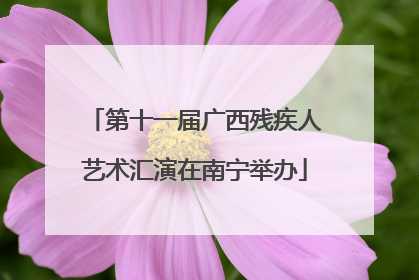 第十一届广西残疾人艺术汇演在南宁举办